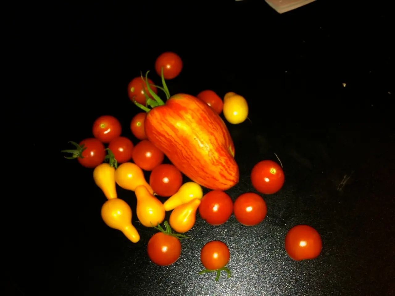 Ancient Superfruit Kokum Offers Refreshing, Healing, and Nourishing Benefits in a Natural Way