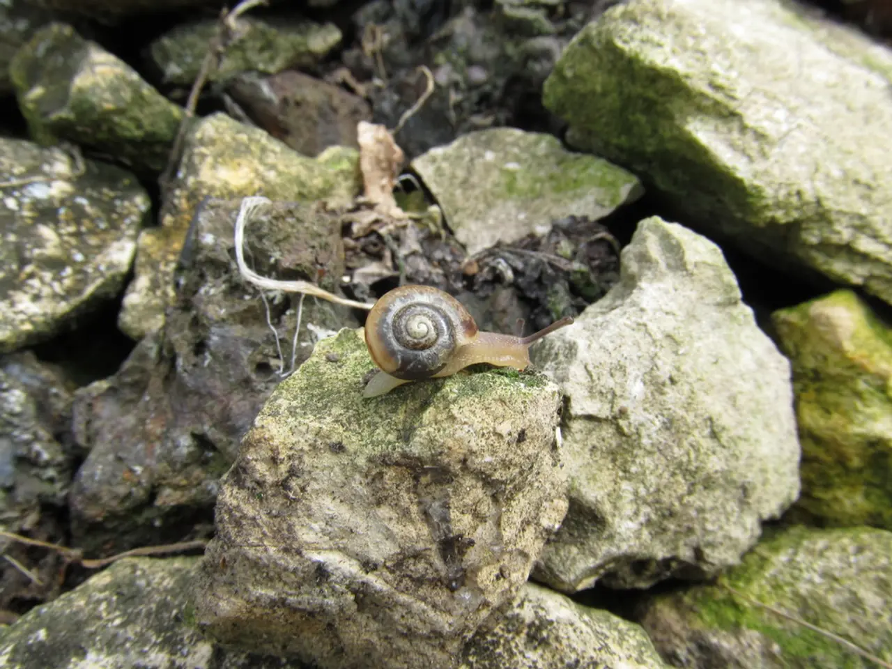 Landing from an Instrument Approach Using a Circle Technique