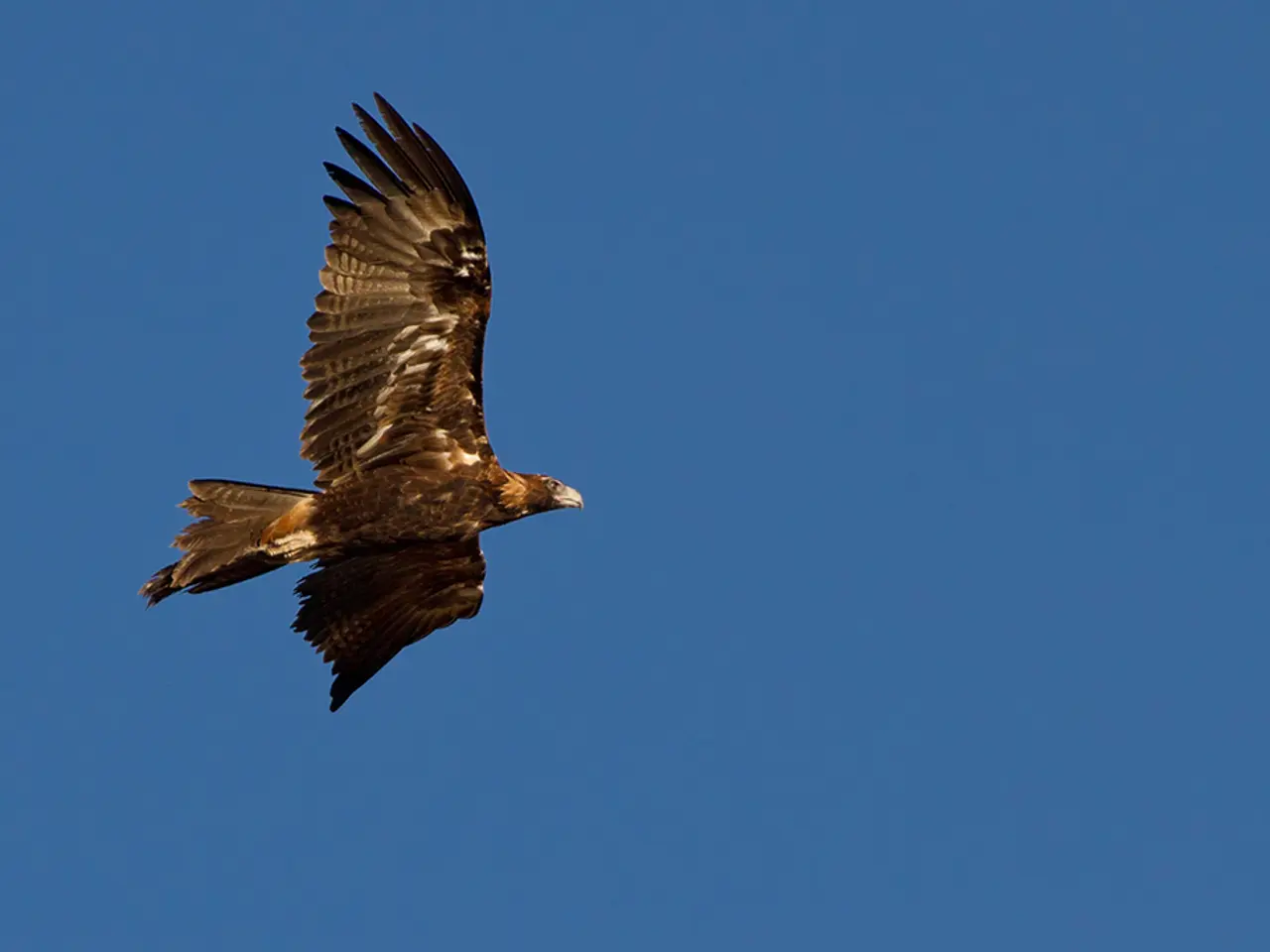 F-15EX Fighter Aircraft Headed to Japan for Training Sessions as Kadena Makes Way for Revamped Jets
