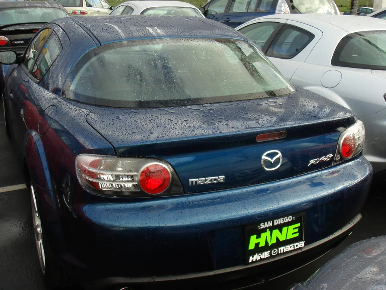 Federal Mayor's Push for a Defined Federal Government Policy in Brussels