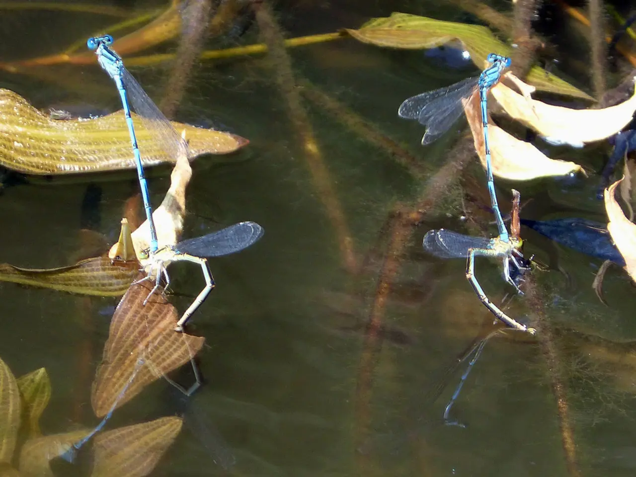 Blog Post on Azure Arc Integration