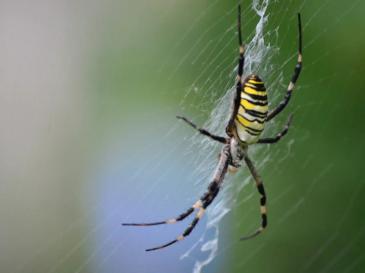 Airlines potentially confronted with Spider hacking incidents, according to the FBI