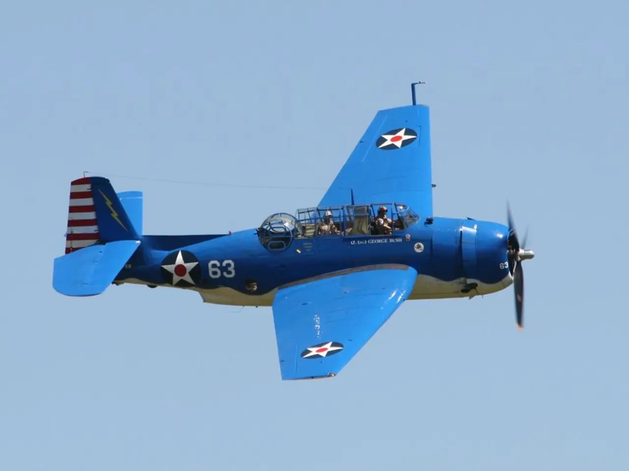 Walle holds the position of CEO at BDLI