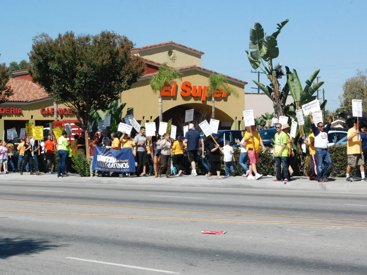 Political Strategy Analysis: Overfitting and Underfitting in Campaign Tactics and Their...