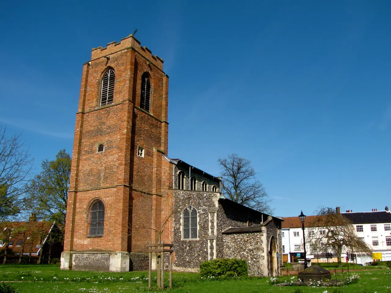 There is grass, pole, buildings and trees.