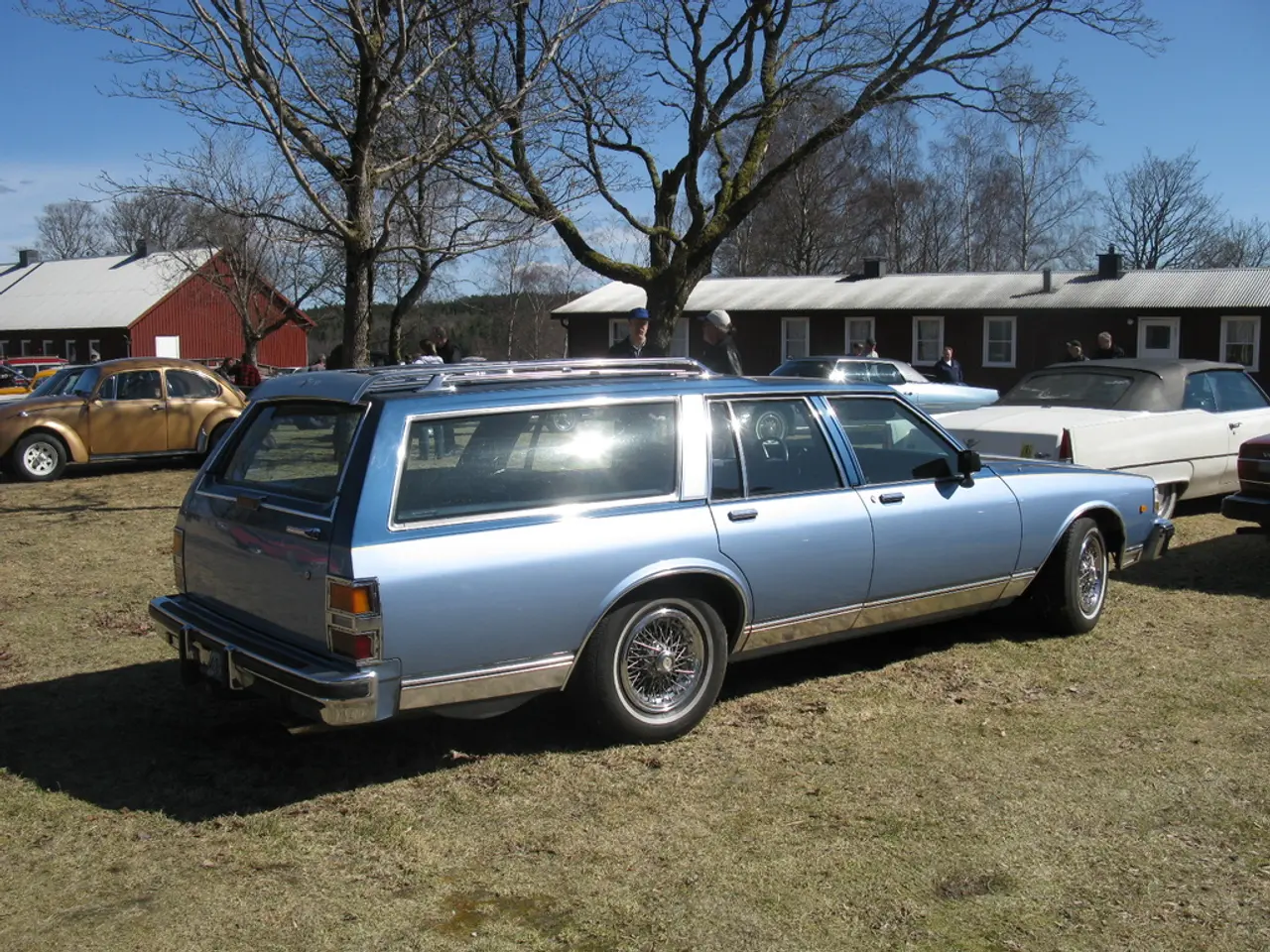In this image there are houses, trees, grass, people, vehicles, sky and objects. Land is covered...