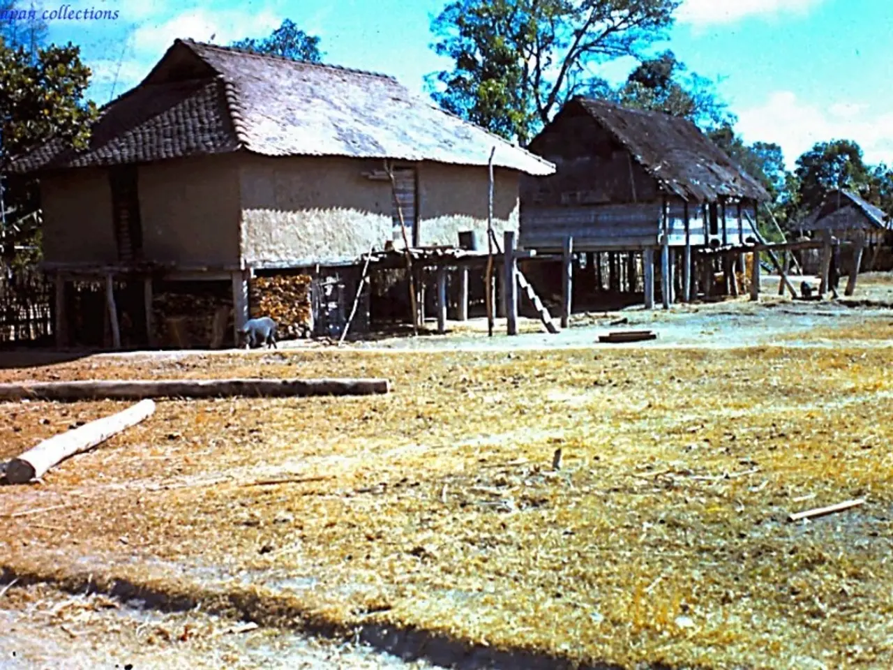 In the image there is a land in the foreground and behind the land there are houses and in the...