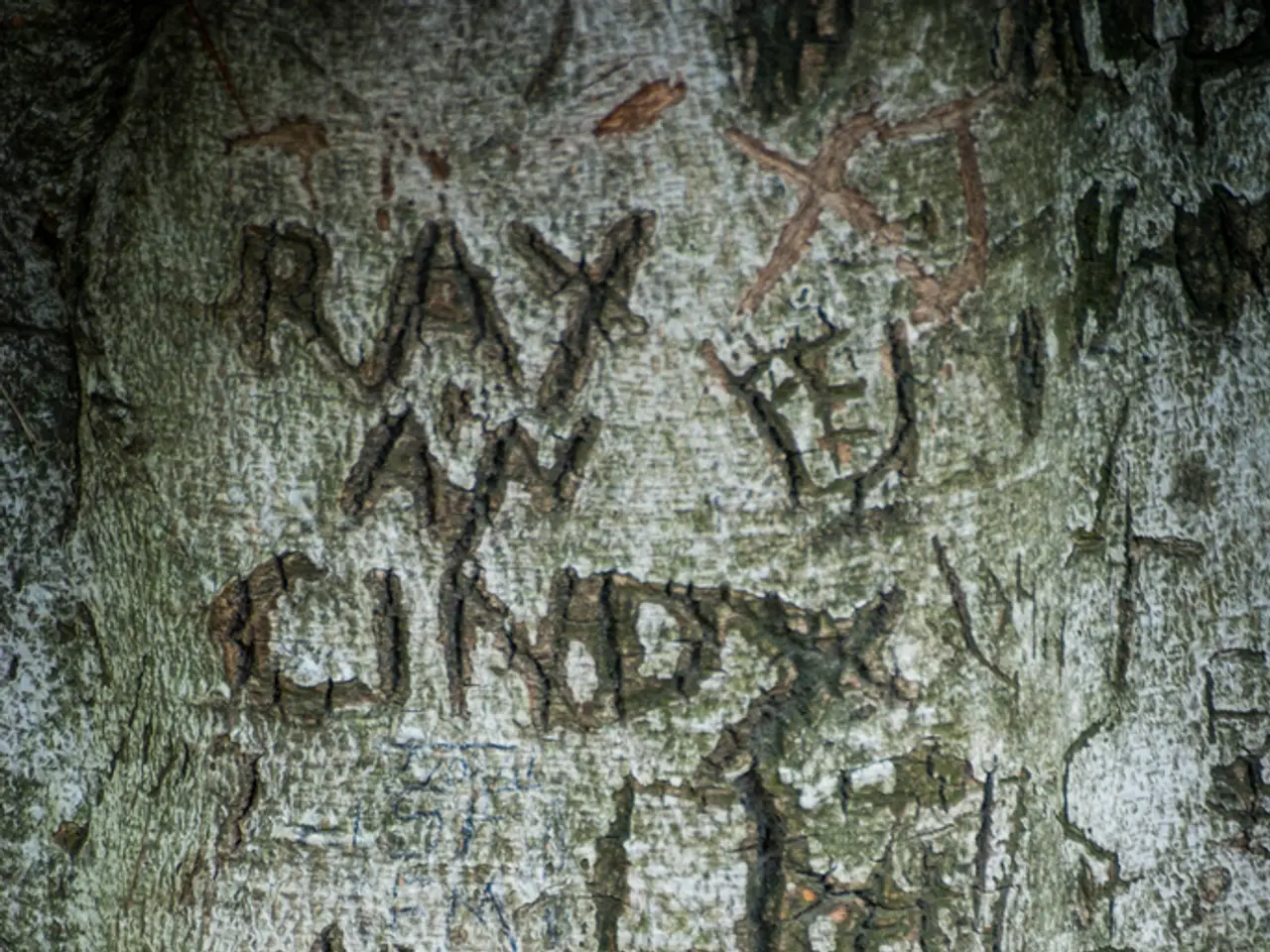 Here I can see some text on a trunk.