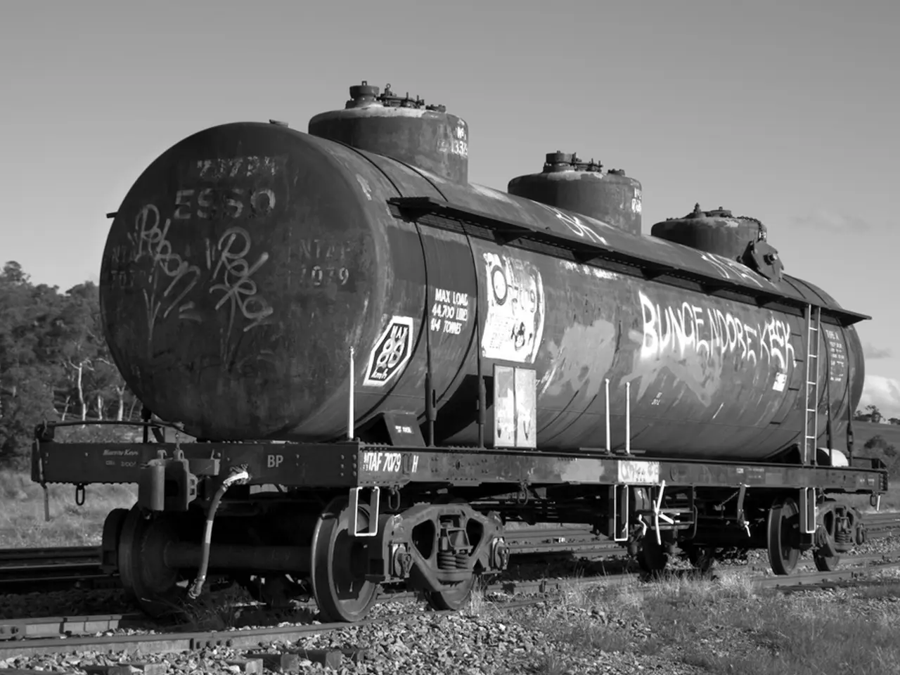 In this picture there might be a goods train on the railway track. At the back there are trees and...