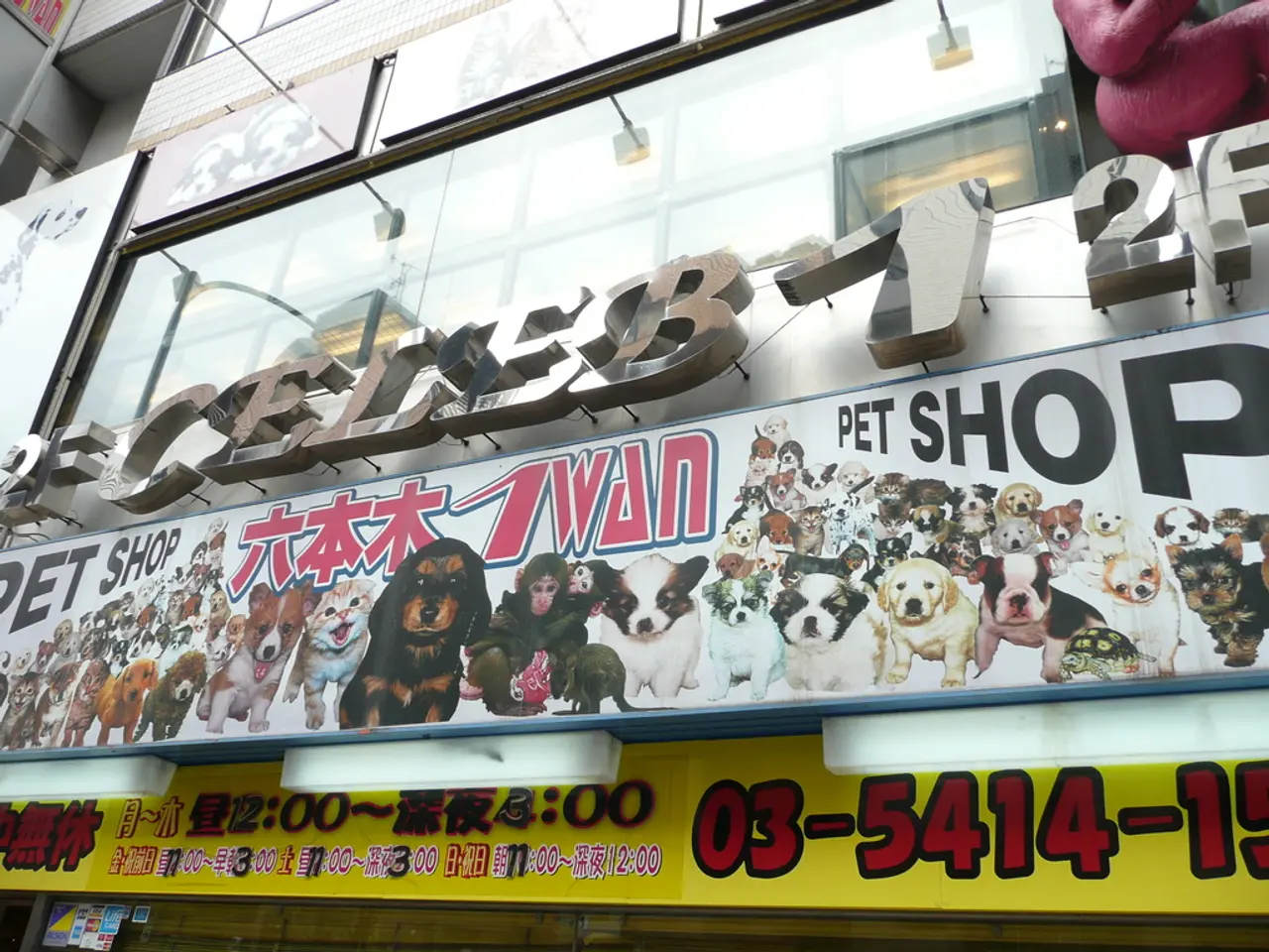 This picture is mainly highlighted with a building. We can see glass windows, boards, hoardings and...