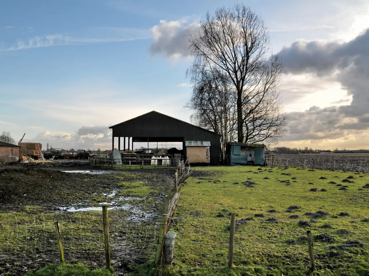 In this picture there is a boundary at the bottom side of the image and there is grassland in the...