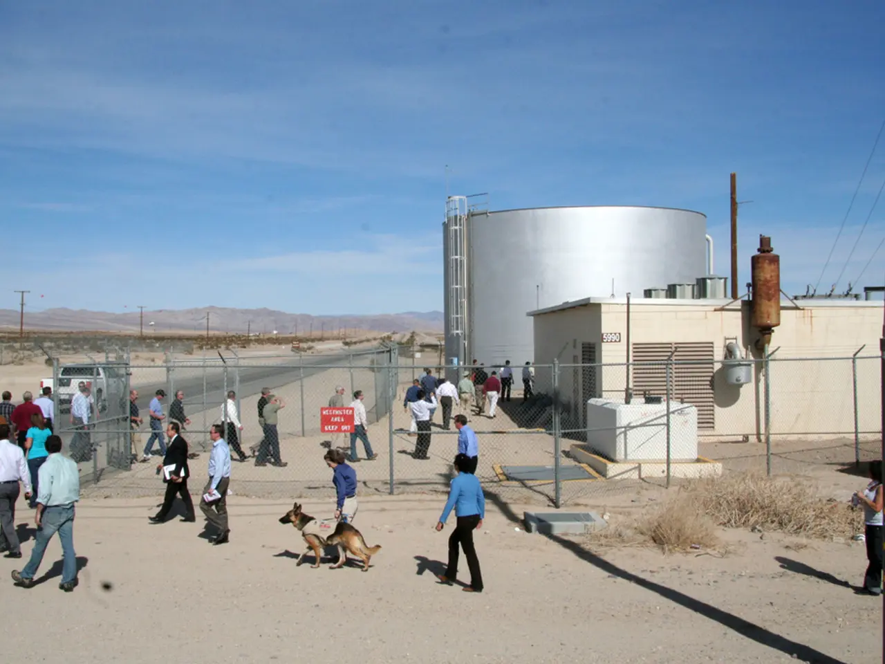 As we can see in the image there are few people here and there, fence, dog, houses, current poles...