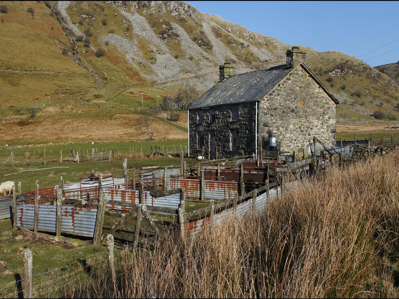 In this image there is a grass fencing, in the middle there is a house, in the background there is...