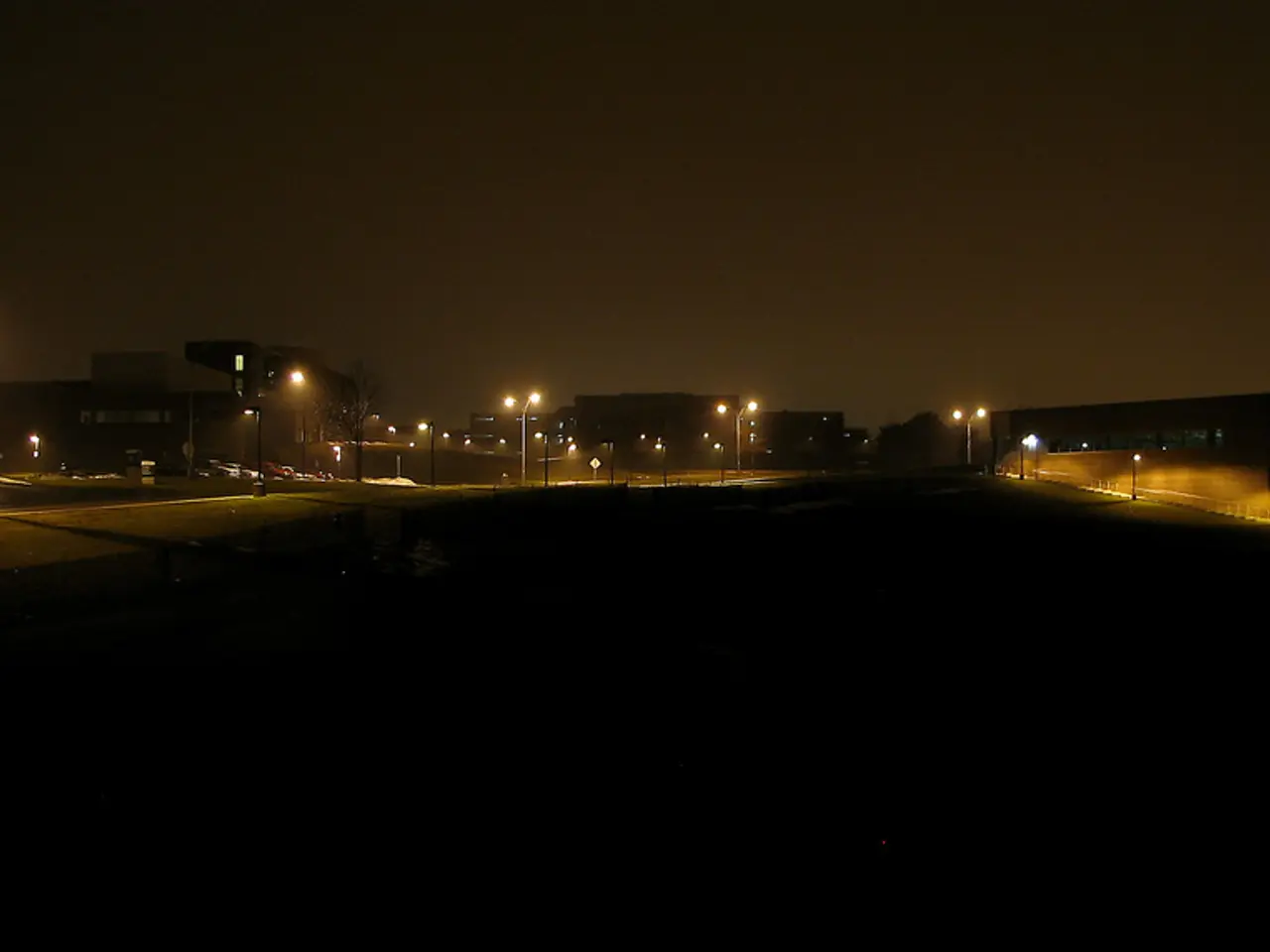 In the background of the image there are buildings,streetlight.