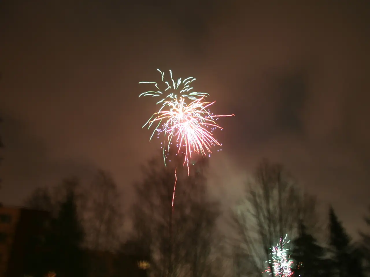 There are trees on the ground. In the background, there are fireworks and clouds in the sky.