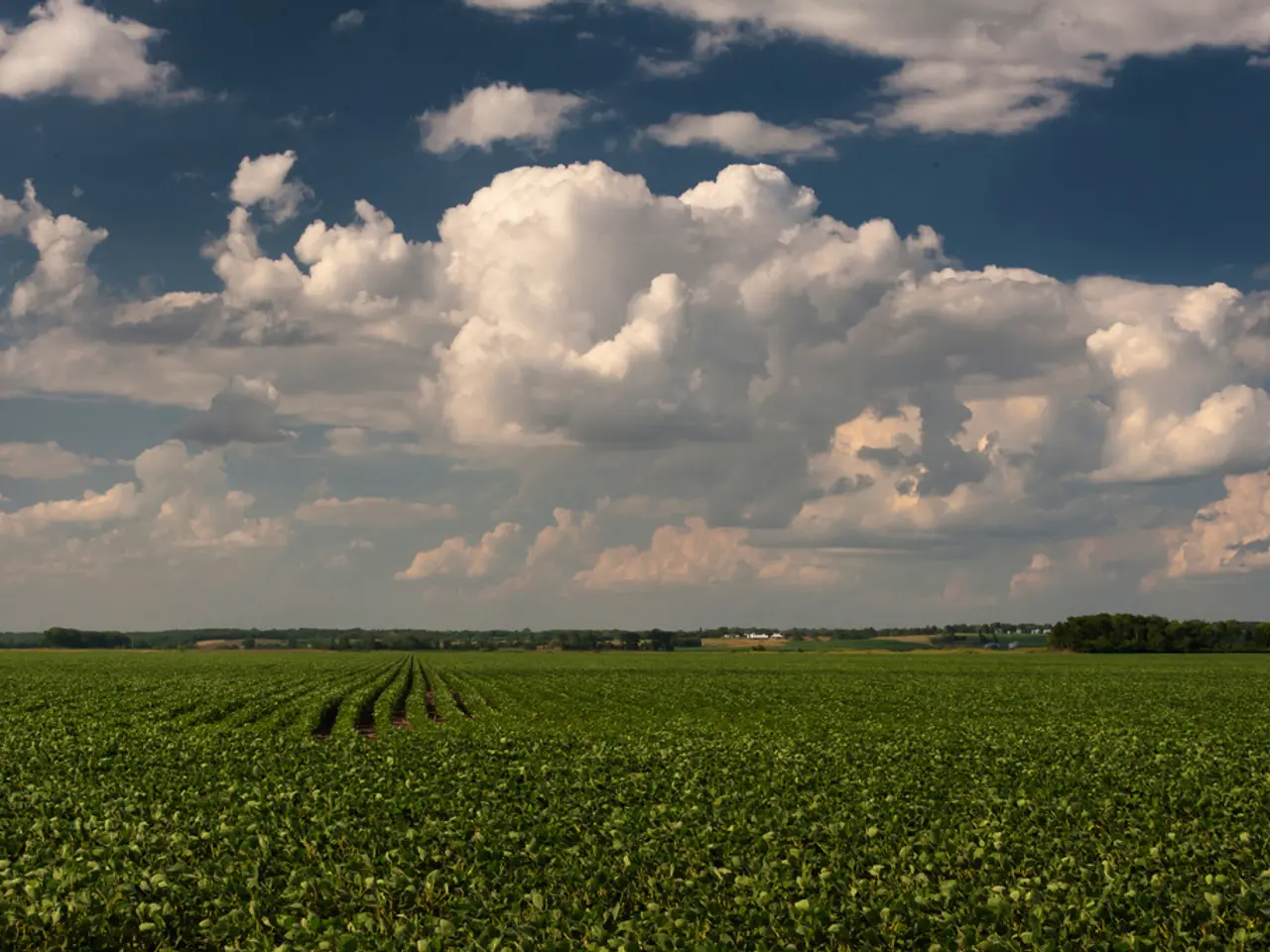There is greenery in the foreground area of the image, it seems like houses, trees and the sky in...