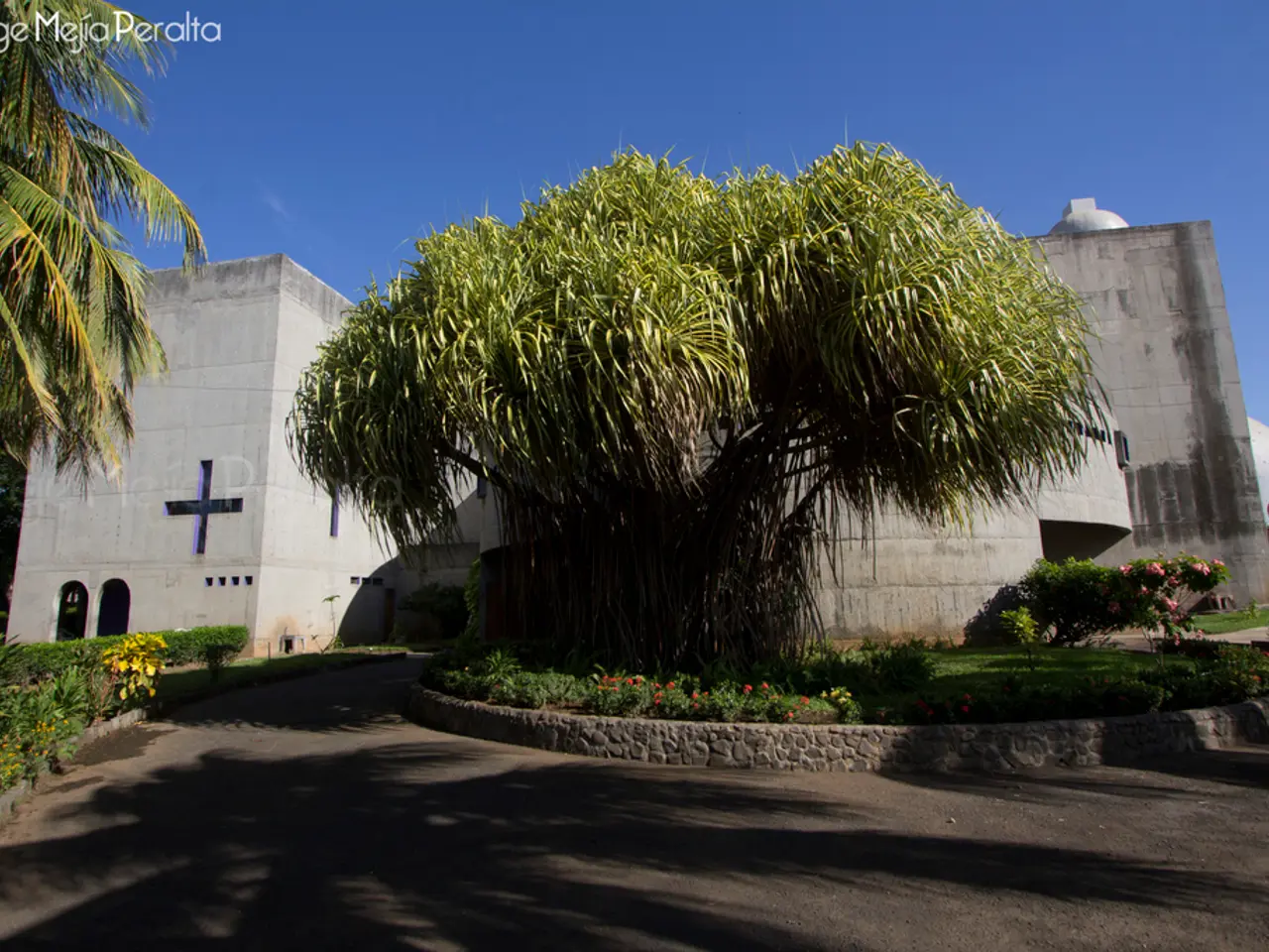 This image consists of grass, plants, fence, trees, buildings, person, windows, text and the sky....