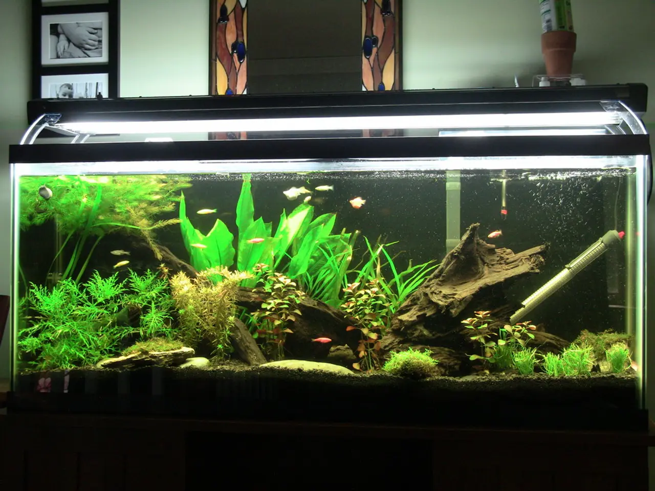 There is an aquarium which has few fishes and some other objects in it and there are photo frames...