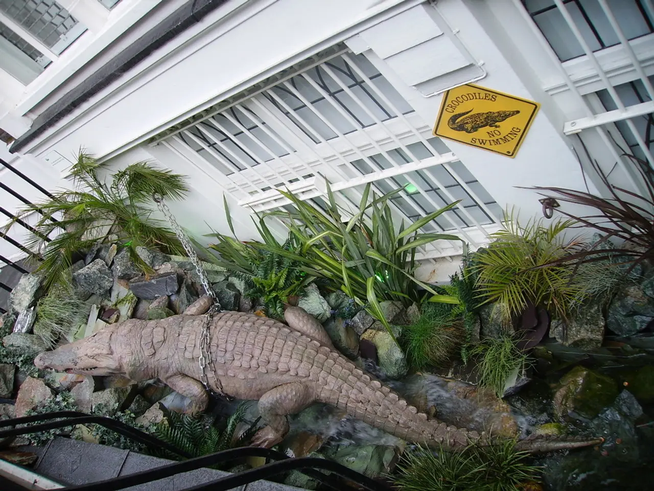 In this image there is a crocodile, beneath the crocodile there are water, some stones, plants and...