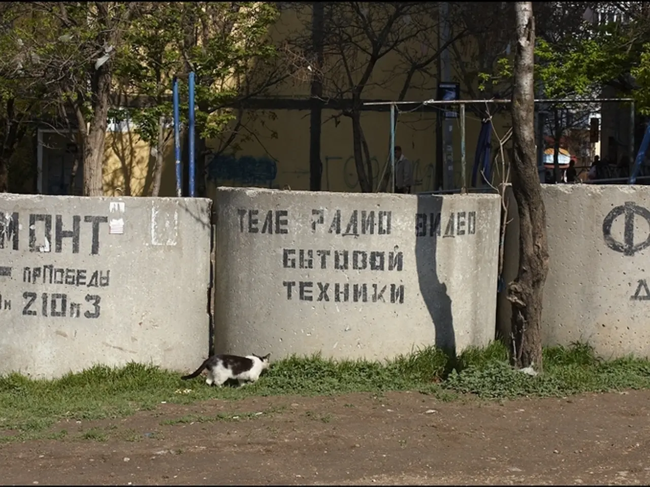 In this picture, there are three concrete tanks in the center. Beside the tank, there is a cat...