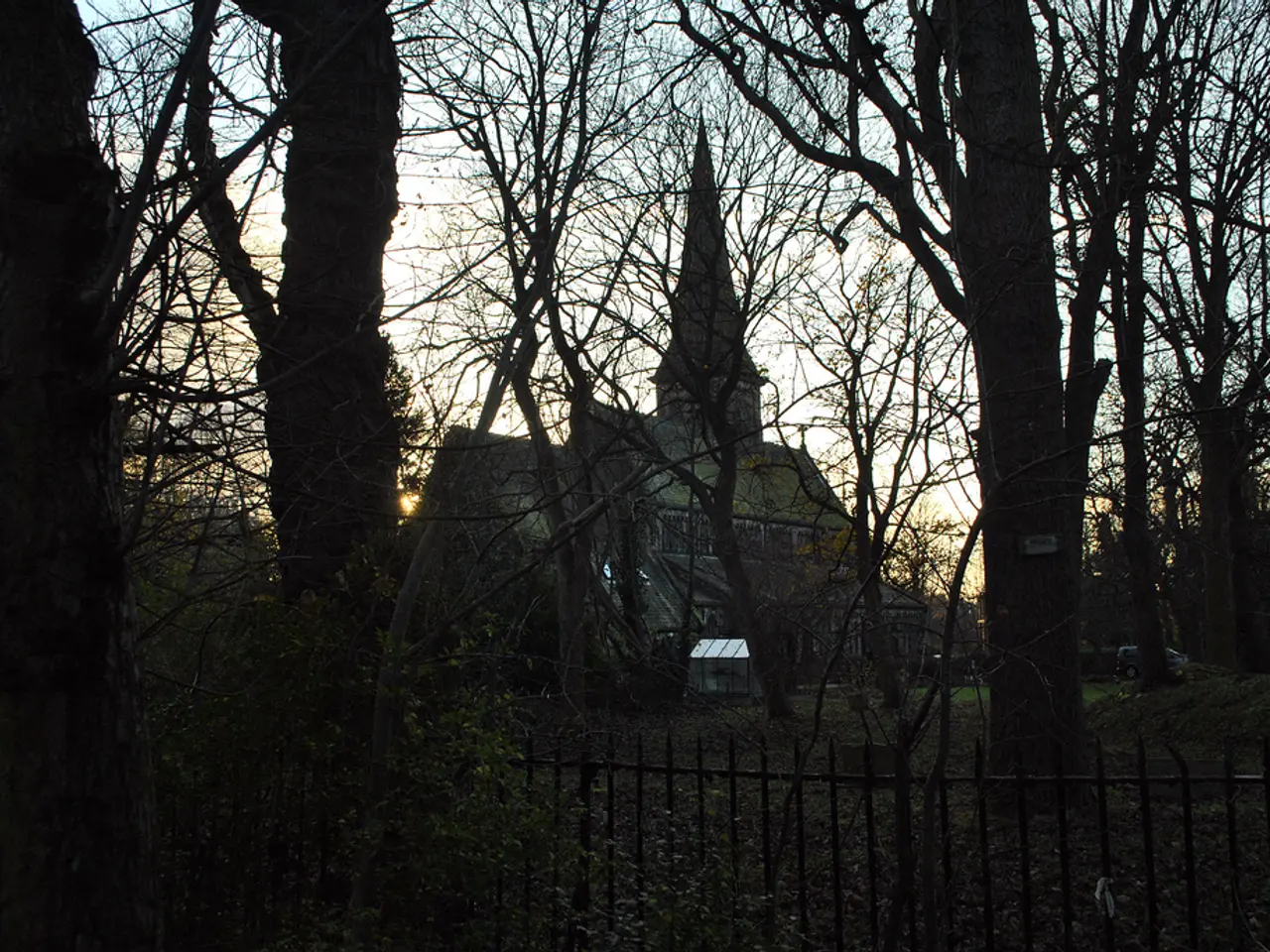 In this picture I can a house, trees, plants, grille, vehicle and sky.