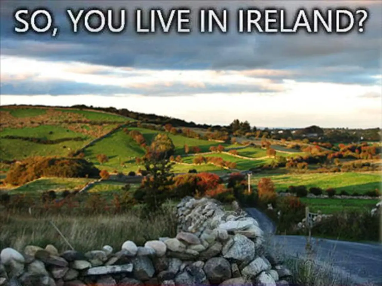 In this picture at the top we have grass, mountains and greenery & in the bottom image we have...