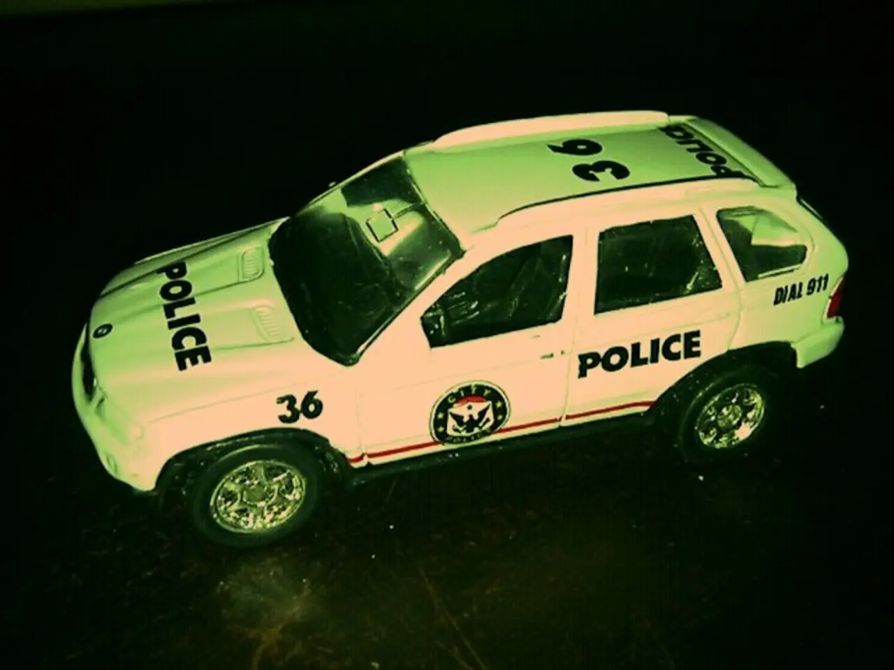 In the picture I can see a police vehicle on the floor.