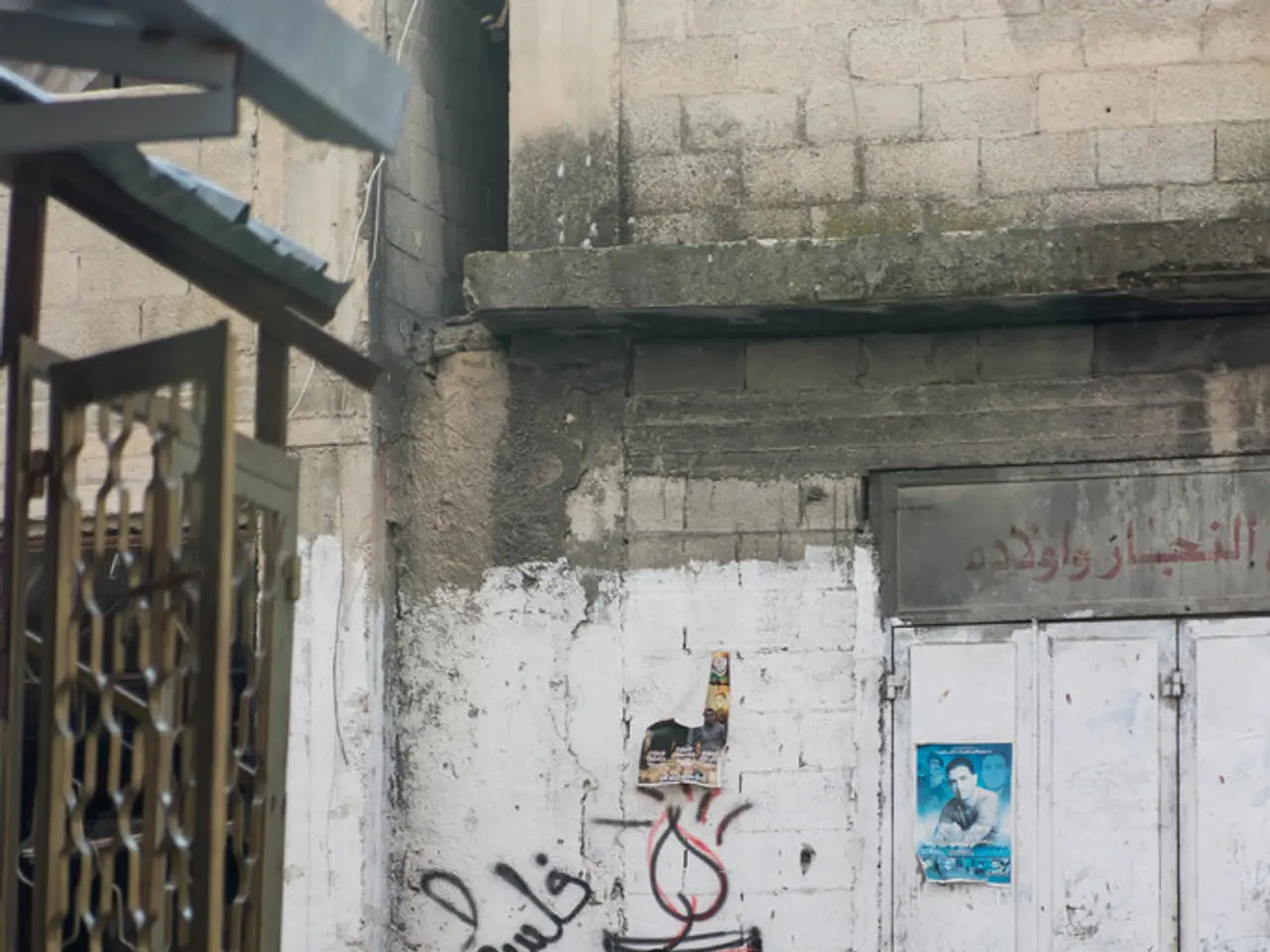 To the left side of the image there is a gate. In the background of the image there is a person...