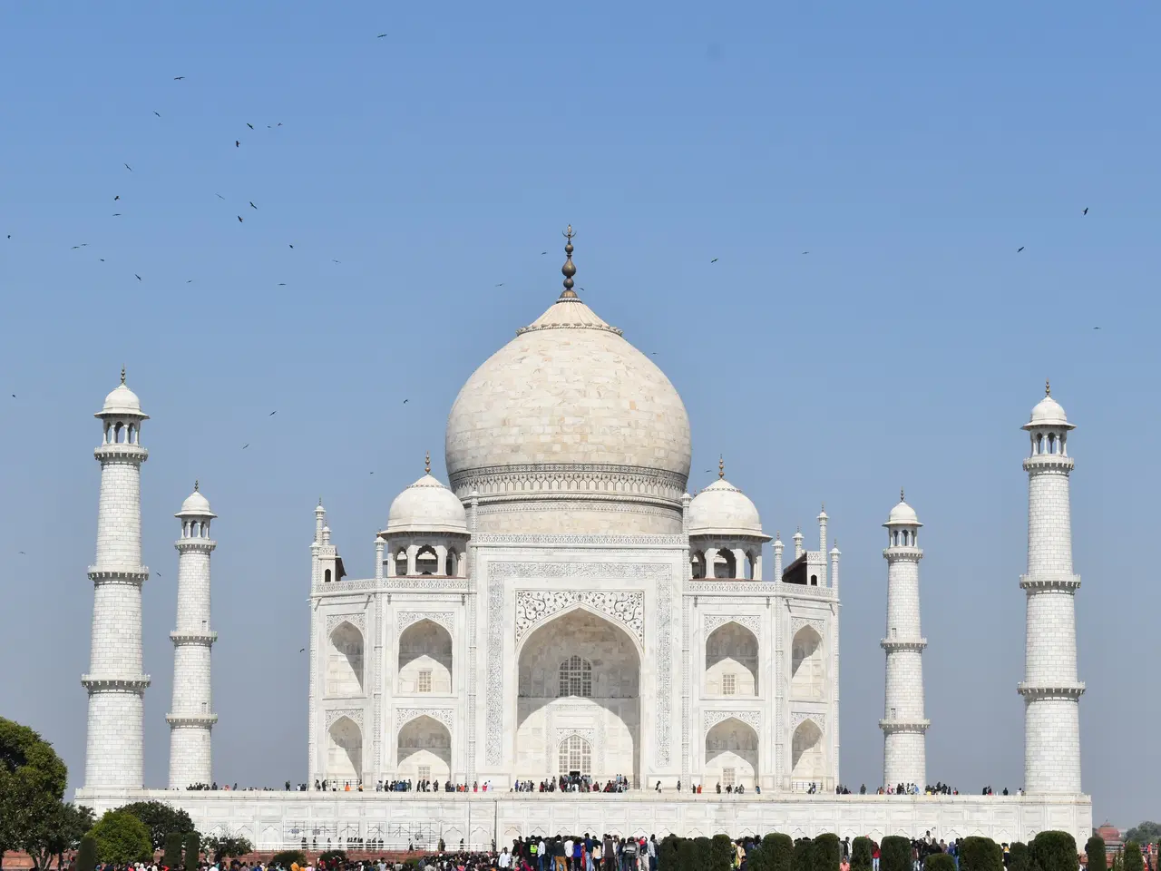 The image shows the majestic Taj Mahal in Agra, India, surrounded by lush green trees and plants,...