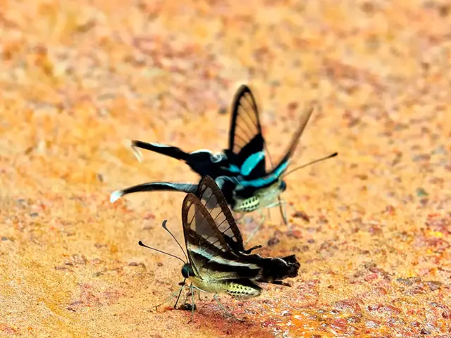 Touchdown: Feds Charge Suspect in Boston Marathon Bombings with Additional Conspiracy Counts