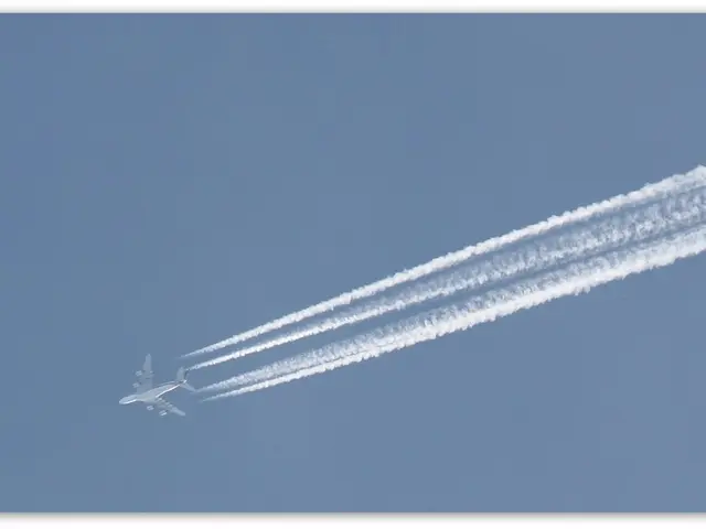 Plane Forced to Make Emergency Landing in Munich