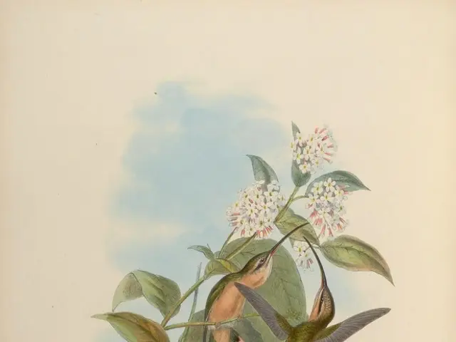 Exploring 12 Methods of Merging Art and Science with Nature for a Daily Dose of Astonishment