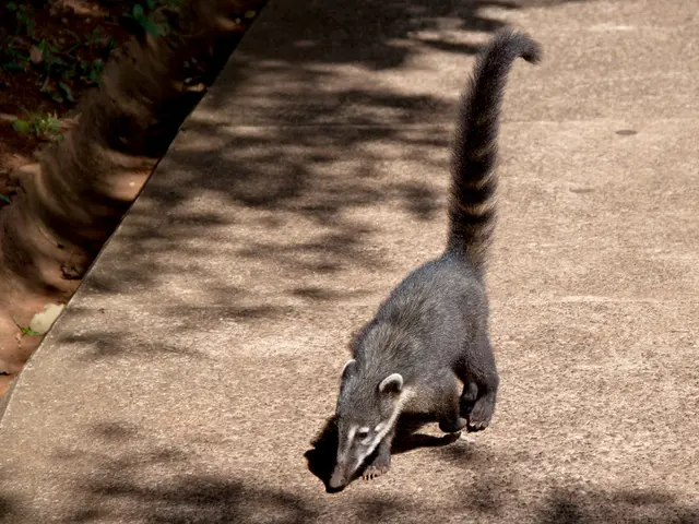 Organophosphate Toxicity: Recognizing Symptoms and Effective Treatment Strategies