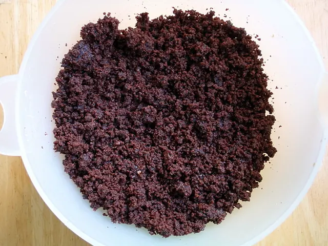 Peptic ulcers: Manifestations, origins, and remedies