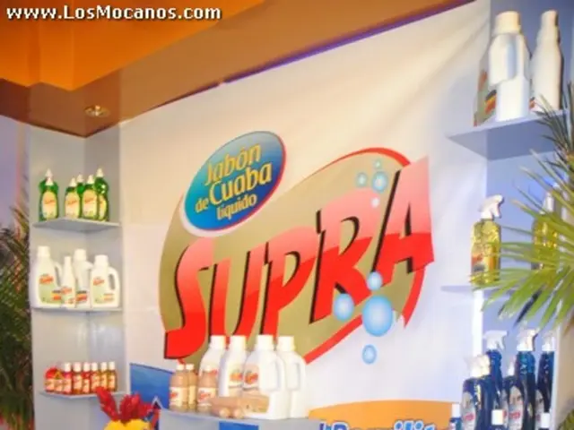 Top 24 Significant French Corporations Worth Acknowledging