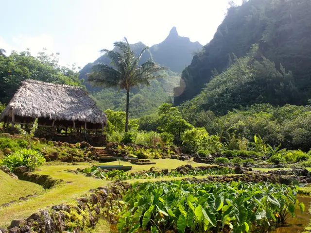 Link, Diagnosis, and Treatment of Chest and Leg Pain: Understanding the Connection and Medical...