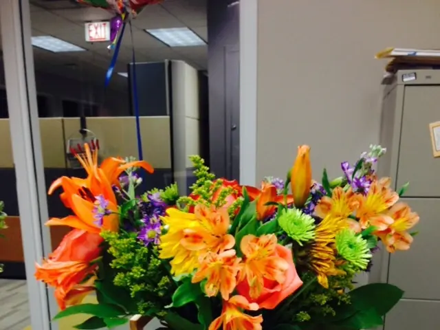 Can sperm still cause pregnancy after vasectomy procedure?