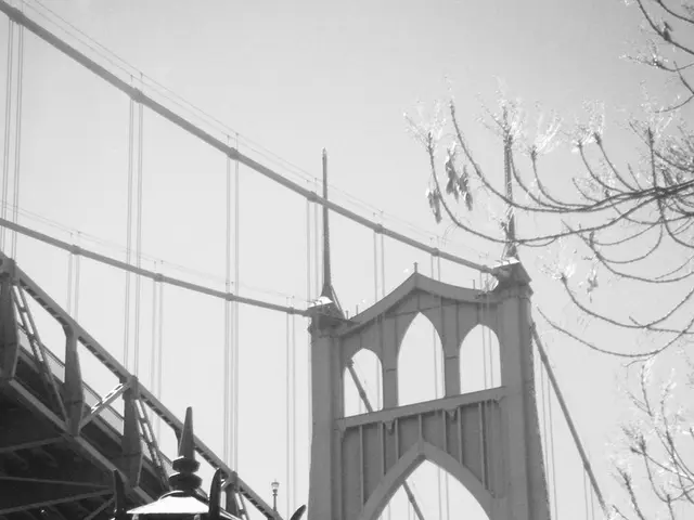 Spinal Cord Injury Progression, Healing Phases, and Assistance Available