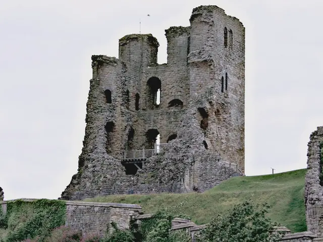 Windsor-based automation company secures significant lease deal, fueling growth at a Fort Collins...