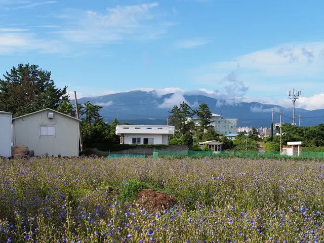 Departmeny of Energy's faulty grid investigation endorses costly, undead power plants