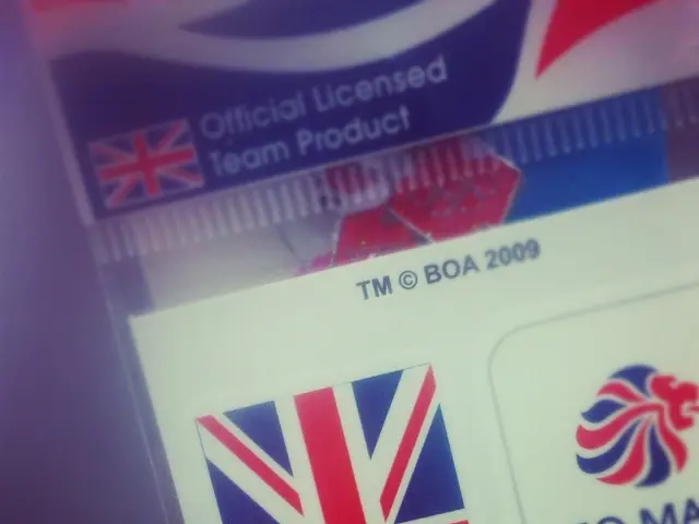 Mark Blanks serves as the Head of Global Flight Operations at Wing, a prominent position in the...