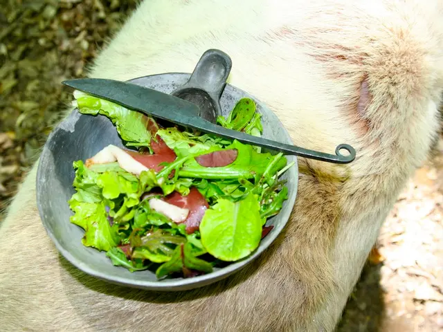 Awareness Highlights for Inflammatory Bowel Disease: Key Facts and Recent Advances