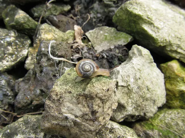 Least Frequently Used Instrument Landing Procedures Explained