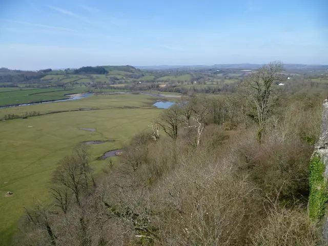 Runway for Tabletop: Explanation and Potential Hazards