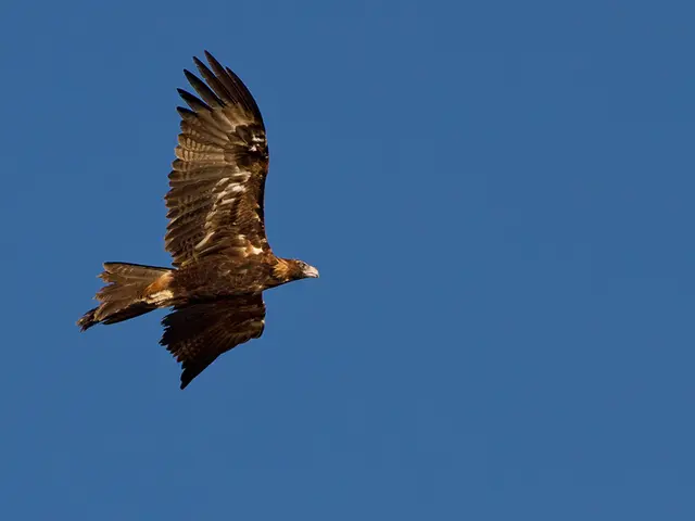 F-15EX Fighter Aircraft Headed to Japan for Training Sessions as Kadena Makes Way for Revamped Jets
