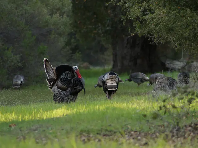 Robust expansion persists in Defense sector's overseas sales