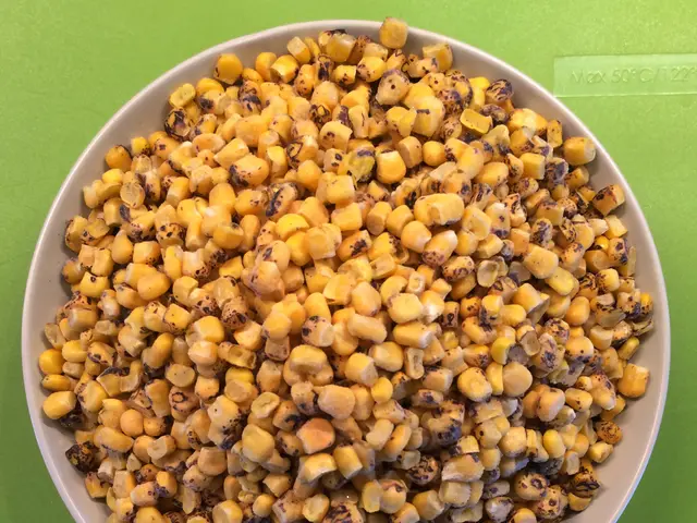 Are Plant-Based Oils Dangerous? An Examination of the Controversy Surrounding Seed Oils