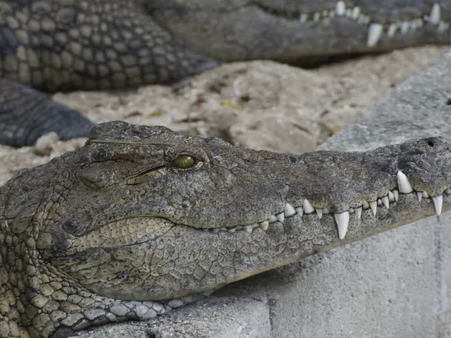 Secrets of Autonomy's Lethal Lock