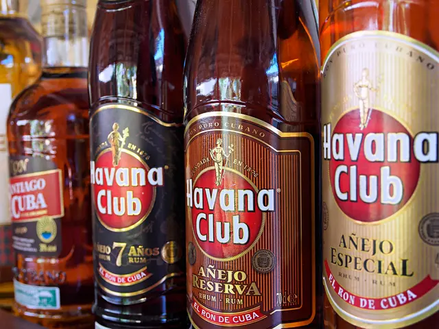 Assistance for the Elderly and Additional Services