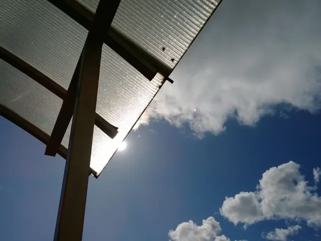 Asthma Flare-ups in Certain Seasons: Exploring Signs, Triggers, and Additional Information